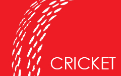 Cricket