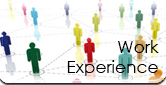 Work Experience