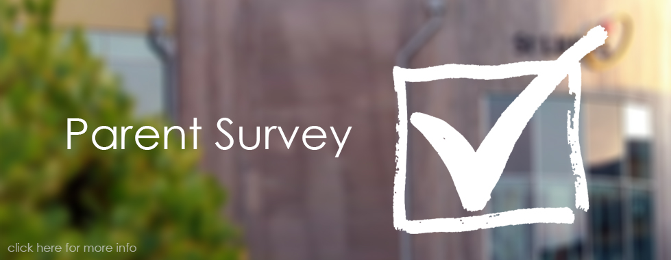 Parent Survey